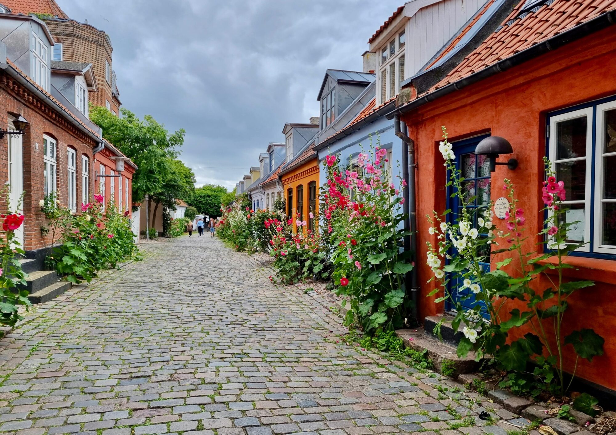 DINAMARCAReflexiones e inspiración desde Aarhus, una ciudad transformadora