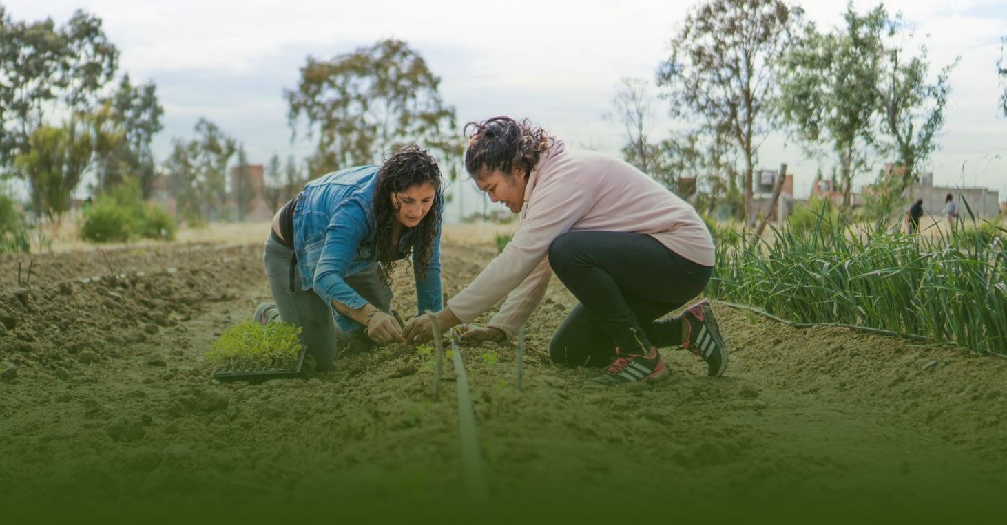 Dolavon Produce, un impulso para el desarrollo agroecológico en la Patagonia