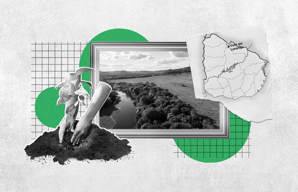 Cooperación entre productores rurales para revertir el impacto de la sequía en Uruguay