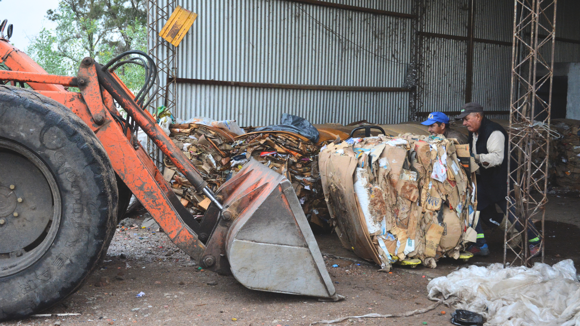 Repensando el plástico: reciclaje y creatividad que transforman