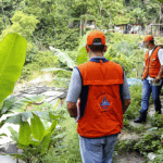 <span class='copete' style='font-size: 16px; display:inline-block; color: #666;font-weight:normal;'>MICROMOVILIDAD</span><br>Tres ciudades europeas planifican su futuro activo, sostenible y sobre ruedas