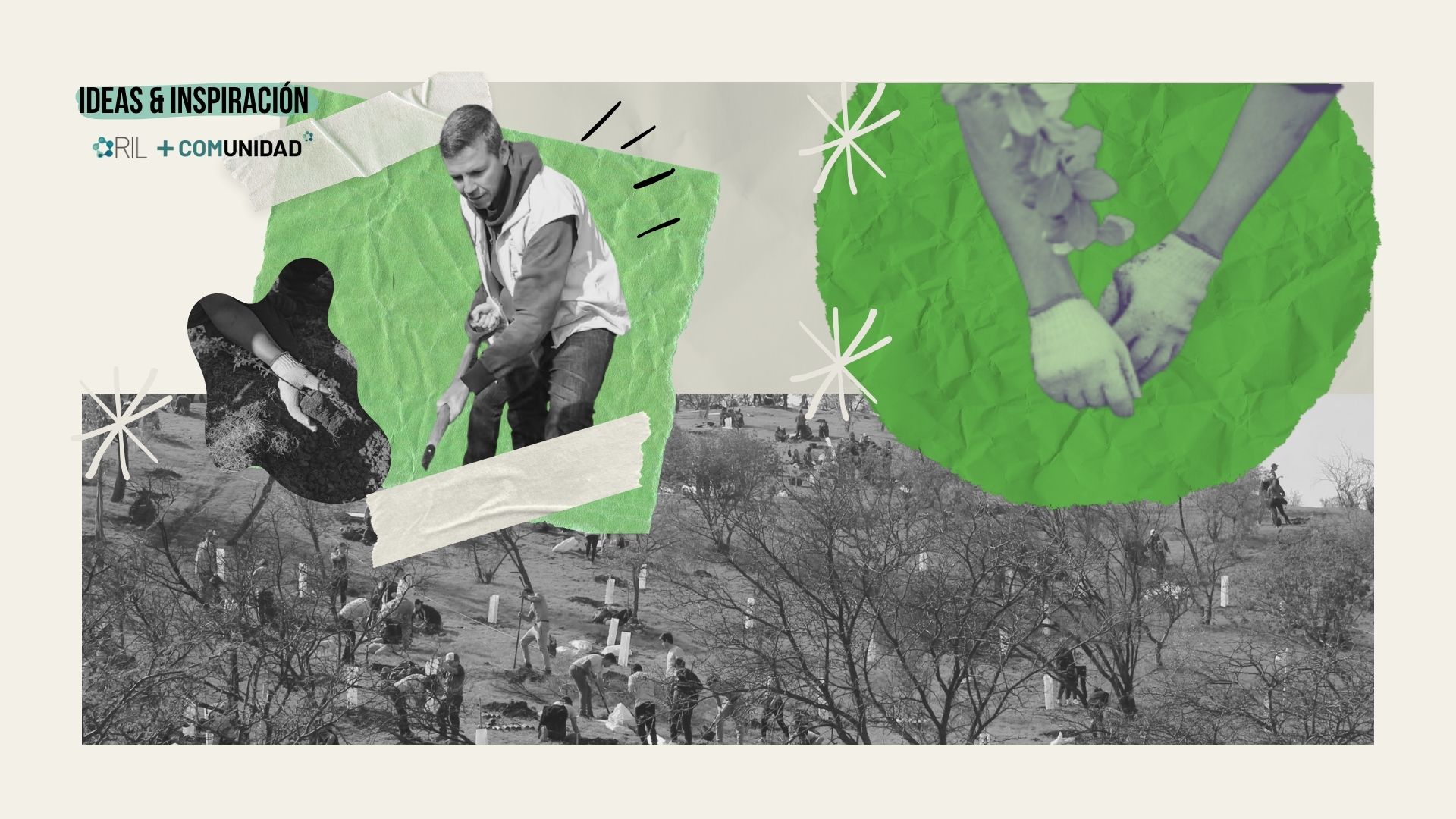 Renca siembra futuro: una reforestación masiva que une a toda la comunidad