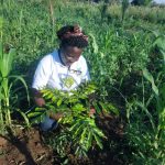 <span class='copete' style='font-size: 16px; display:inline-block; color: #666;font-weight:normal;'>INNOVADORES LOCALES</span><br>El rol estratégico de las guardias locales en la coproducción de seguridad ciudadana