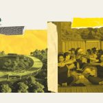 <span class='copete' style='font-size: 16px; display:inline-block; color: #666;font-weight:normal;'>BOLETÍN IDEAS & INSPIRACIÓN</span><br>Cómo una ciénaga degradada de Barranquilla se convirtió en nuevo polo de ecoturismo