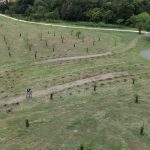 <span class='copete' style='font-size: 16px; display:inline-block; color: #666;font-weight:normal;'>INNOVACIÓN PÚBLICA</span><br>Cómo el Bosque de Bolsillo de Jesús María integra la naturaleza en la gestión urbana