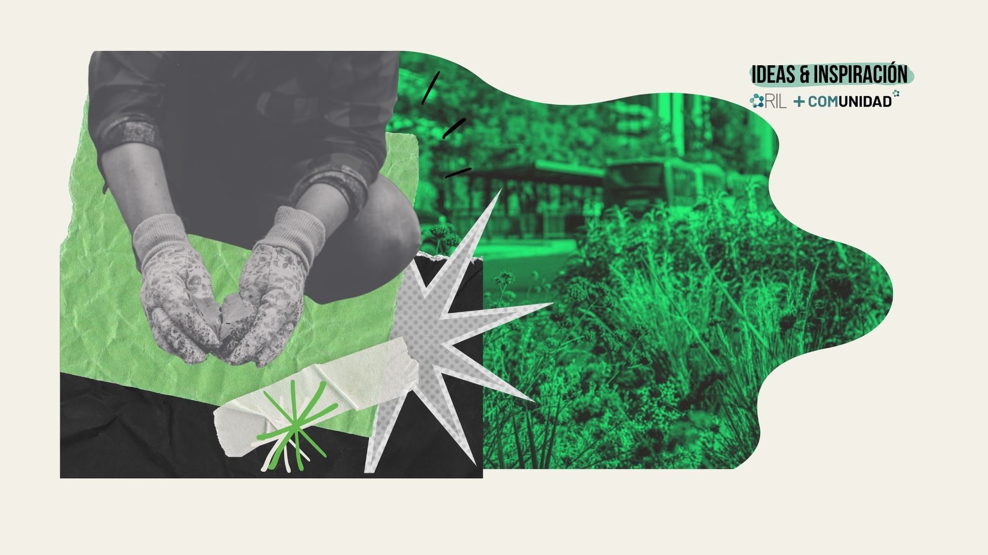 Mi Jardín Sustentable: Vitacura transforma patios residenciales en refugios ecológicos