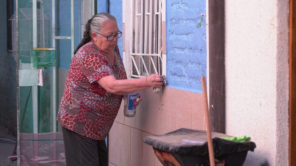 LAPAZ482